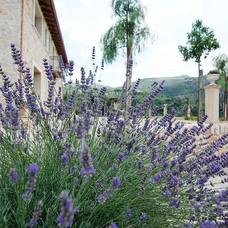 Casale Madeccia Sonnino