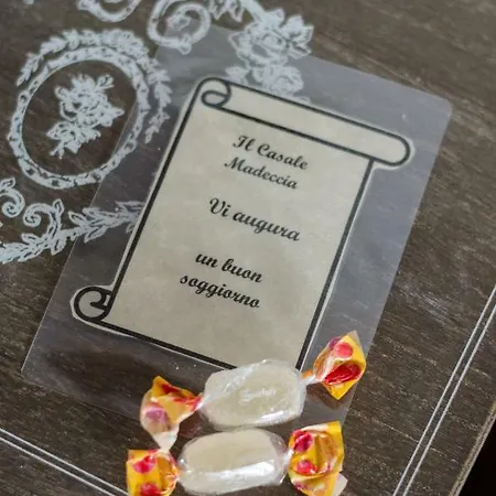 乡村民宿 Casale Madeccia