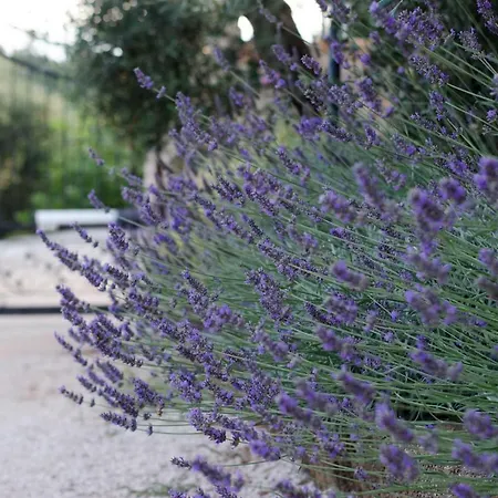 Casale Madeccia Sonnino