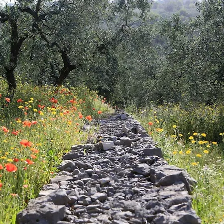 Casale Madeccia 乡村民宿 *