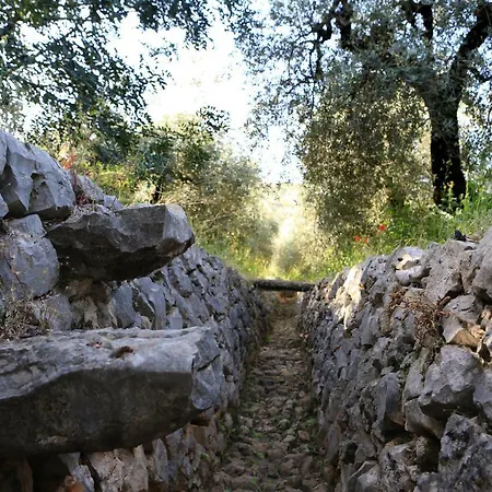 乡村民宿 Casale Madeccia